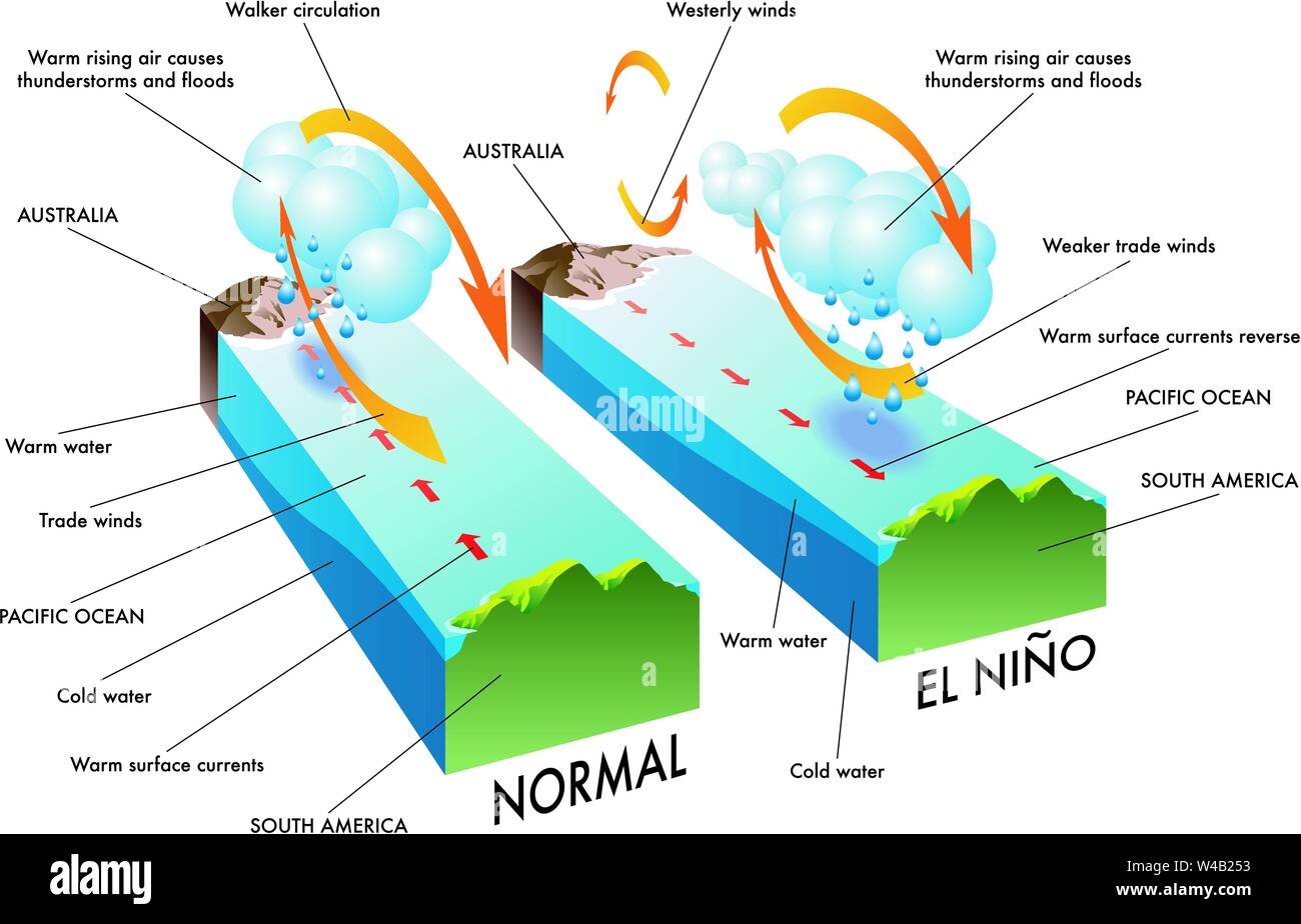 India Monsoon Forecast: What Below Normal Rainfall Means for 2023
