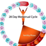 Most Fertile Woman: The Incredible Tale of 44 Births