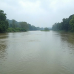 River Tista Flooding: What the Current Situation Means for Mekhliganj