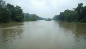 River Tista Flooding: What the Current Situation Means for Mekhliganj