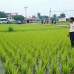Tamenglong Farmer Shooting: Tensions Rise After Tragic Incident
