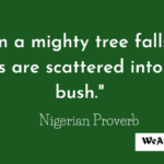 Nigerian Proverbs: How One Saying Teaches Us About Fear and Healing