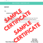 Recovery Certificate RC7668: Unveiling the Renuka Trust’s Impact on JMD Telefilms