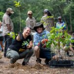 Big Scrub Rainforest: Uncovering Its Remarkable Recovery Journey