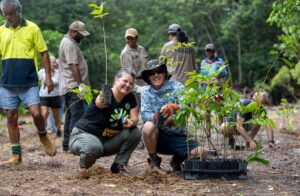 Big Scrub Rainforest: Uncovering Its Remarkable Recovery Journey