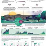 Sustainable Rice Farming: Addressing Climate and Food Security
