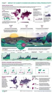 Sustainable Rice Farming: Addressing Climate and Food Security