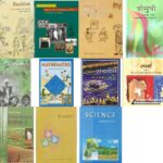 Dancing Girl Mohenjo-daro: NCERT’s Bold Move to Restore History