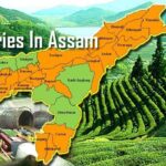 Assam Industrial Growth: Who Really Loses When Opportunities Slip Away?