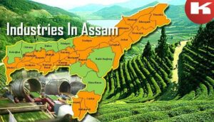Assam Industrial Growth: Who Really Loses When Opportunities Slip Away?