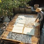 Mon Shugu Paper: The 1,000-Year Artisan Craft of Arunachal Pradesh
