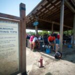 Crater of Diamonds State Park: Where Over 37,000 Gems Await