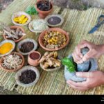 Tripura Ayurvedic Medical College: A Historic Leap for Traditional Medicine