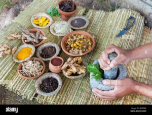 Tripura Ayurvedic Medical College: A Historic Leap for Traditional Medicine