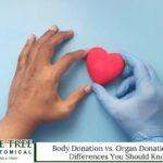 Medical Students Ethics: Guidelines for Respecting Body Donation