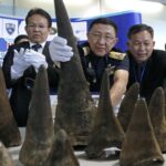 Wildlife Trafficking: Shocking Rhino Horn Seizure in Assam Operation