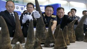 Wildlife Trafficking: Shocking Rhino Horn Seizure in Assam Operation