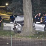 Romanch Mahajan: The Tragic Horse Carriage Accident in Central Park