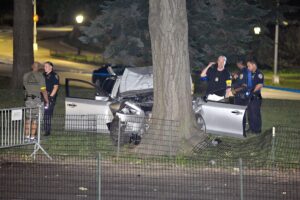 Romanch Mahajan: The Tragic Horse Carriage Accident in Central Park