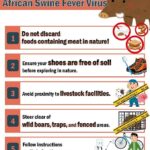African Swine Fever Restrictions in Charaideo: What You Need to Know