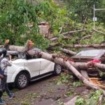 Delhi Squalls: Unraveling the Chaos from 120 km/h Winds Last Night