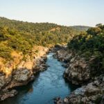 Mekedatu Dam Project: DK Shivakumar’s Latest Move Sparks Debate