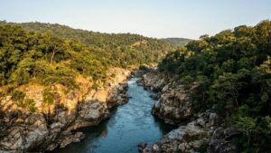 Mekedatu Dam Project: DK Shivakumar’s Latest Move Sparks Debate