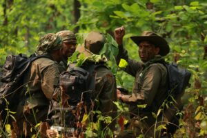Wildlife Trafficking Exposed: Arrests Uncover Golden Langur Smuggling Network