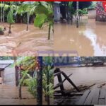 Panyor Lower Hydroelectric Power Station: What Caused the Flooding?