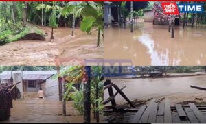 Panyor Lower Hydroelectric Power Station: What Caused the Flooding?