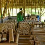 Arunachal Pradesh Bamboo Technology Centre: A Gateway to Innovation
