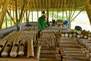 Arunachal Pradesh Bamboo Technology Centre: A Gateway to Innovation