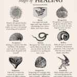 Signs Life’s Hardest Phase Is Over: 5 Surprising Indicators