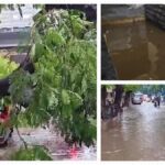 Mumbai Rains: Shocking Tree Collapse Injures Students in Chembur
