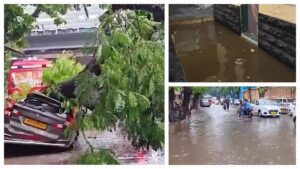 Mumbai Rains: Shocking Tree Collapse Injures Students in Chembur