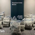 Cannabis Seizure: Shocking Drug Raid in Dibrugarh Unveils Trafficking Network