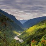 Arunachal Pradesh Land Management: Key Strategies Unveiled in Latest Meeting
