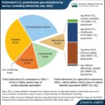Vietnam Carbon Exchange: A Game Changer for Emission Reductions