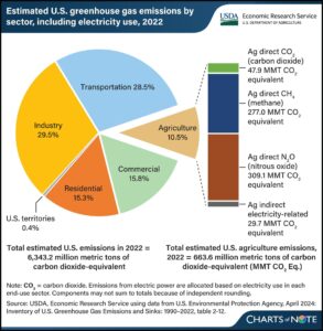 Vietnam Carbon Exchange: A Game Changer for Emission Reductions