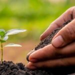 SALT Farming in Manipur: Revolutionizing Sustainable Agriculture