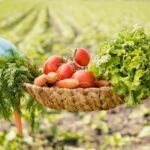 Organic Spice Processing Plant In Meghalaya: A Game Changer for Farmers