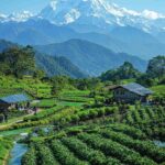 Sustainable Tourism in Sikkim: Bhumi Pednekar’s Green Message