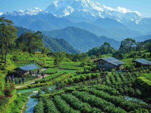 Sustainable Tourism in Sikkim: Bhumi Pednekar’s Green Message