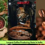 Sikkim Specialty Coffee: A Game Changer for Local Farmers