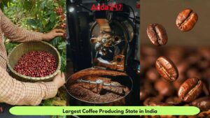 Sikkim Specialty Coffee: A Game Changer for Local Farmers