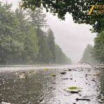 Thunderstorm Alert Chhattisgarh: What the Latest Forecast Means for You