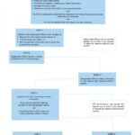 RTI Appeal Process: Inside Dr. A.C. Mittal’s Case Analysis