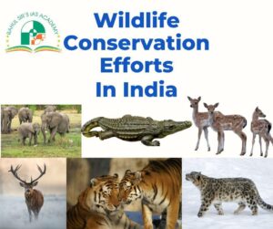Snow Leopard Conservation Society in Ladakh: What to Expect Soon