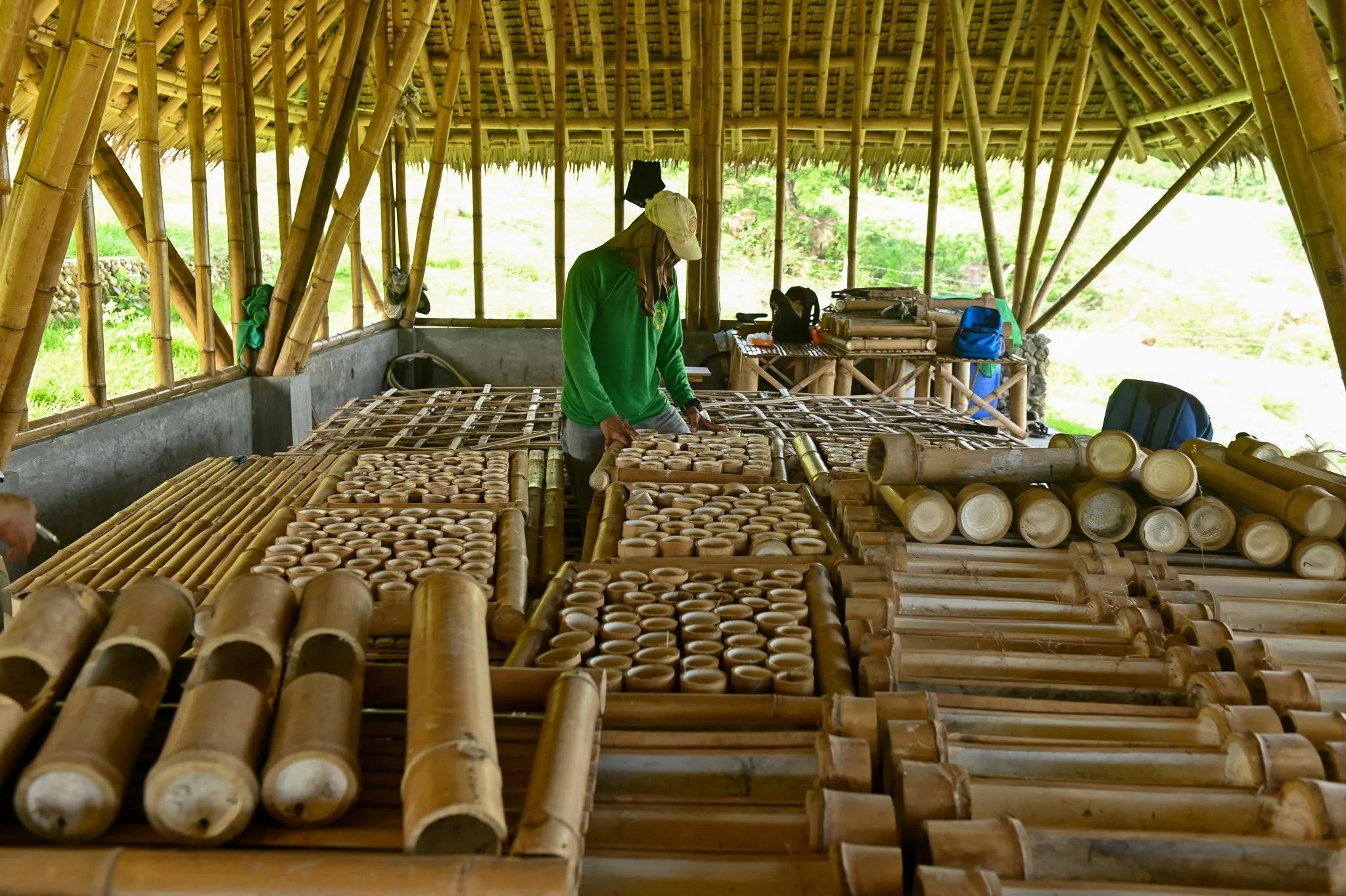 Bamboo Entrepreneurship: Unlocking Arunachal’s Green Gold Potential