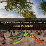 France Music Festival Alcohol Ban Amid Extreme 41°C Heatwave Raises Eyebrows